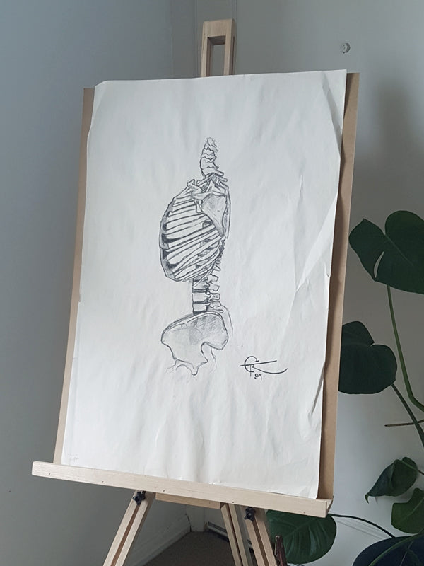Life Drawing Skeleton